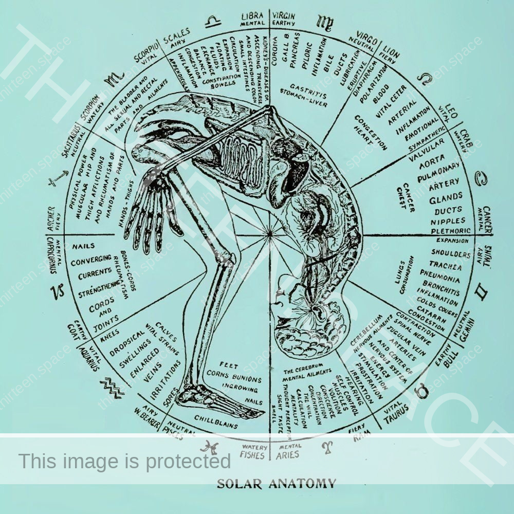 Discover Your Missing Zodiac Cell Salts: A Path to Optimal Health 6 Discover Your Missing Zodiac Cell Salts A Path to Optimal Health 3