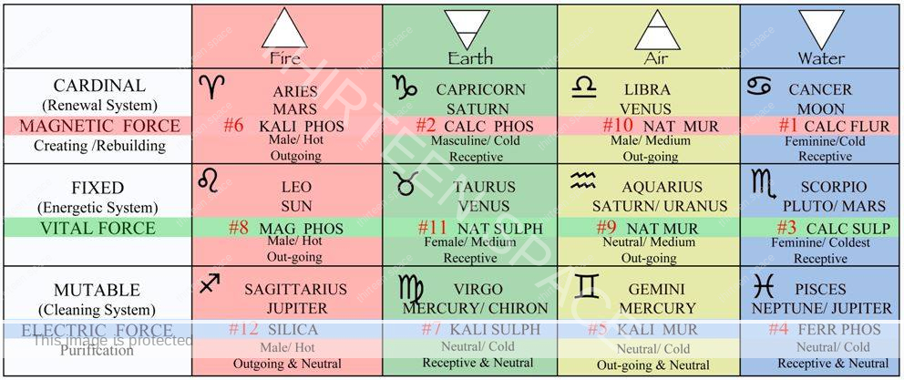 Discover Your Missing Zodiac Cell Salts: A Path to Optimal Health 3 Discover Your Missing Zodiac Cell Salts A Path to Optimal Health