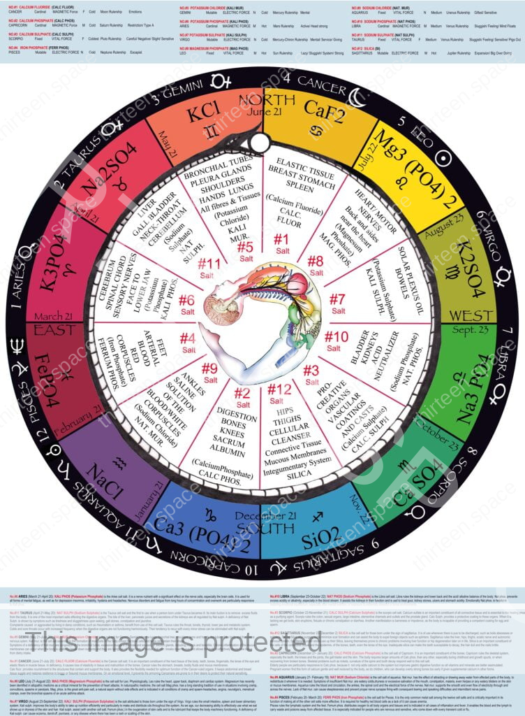 Discover Your Missing Zodiac Cell Salts: A Path to Optimal Health 5 Finding Your Missing Zodiac Cell Salts Chart Thirteen