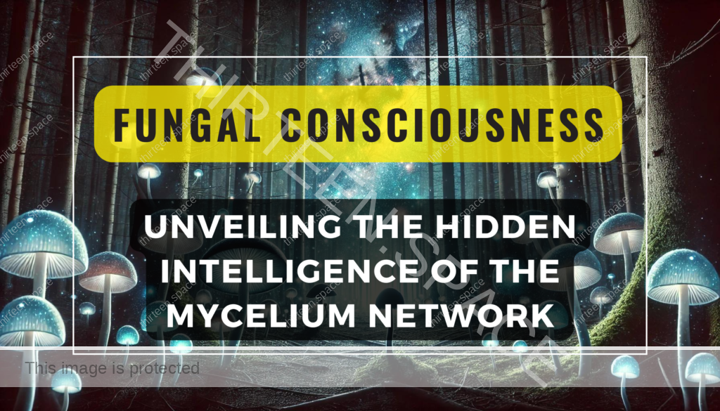 Fungal Consciousness Unveiling the Hidden Intelligence of the Mycelium Network Feature Image