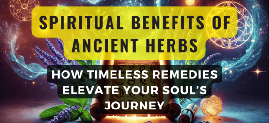 Spiritual Benefits of Ancient Herbs: How Timeless Remedies Elevate Your Soul’s Journey